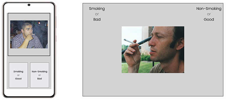 www.frontiersin.org