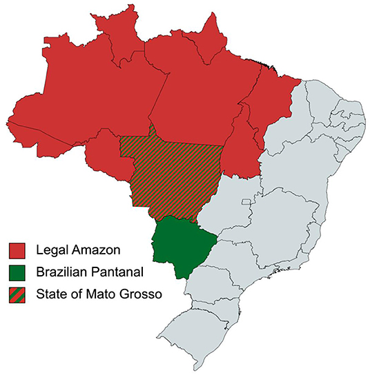 www.frontiersin.org