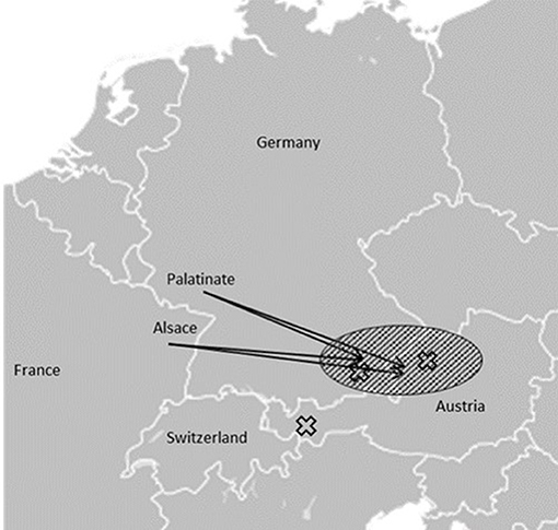 www.frontiersin.org
