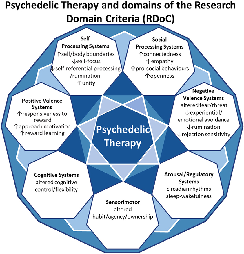 research domain criteria project