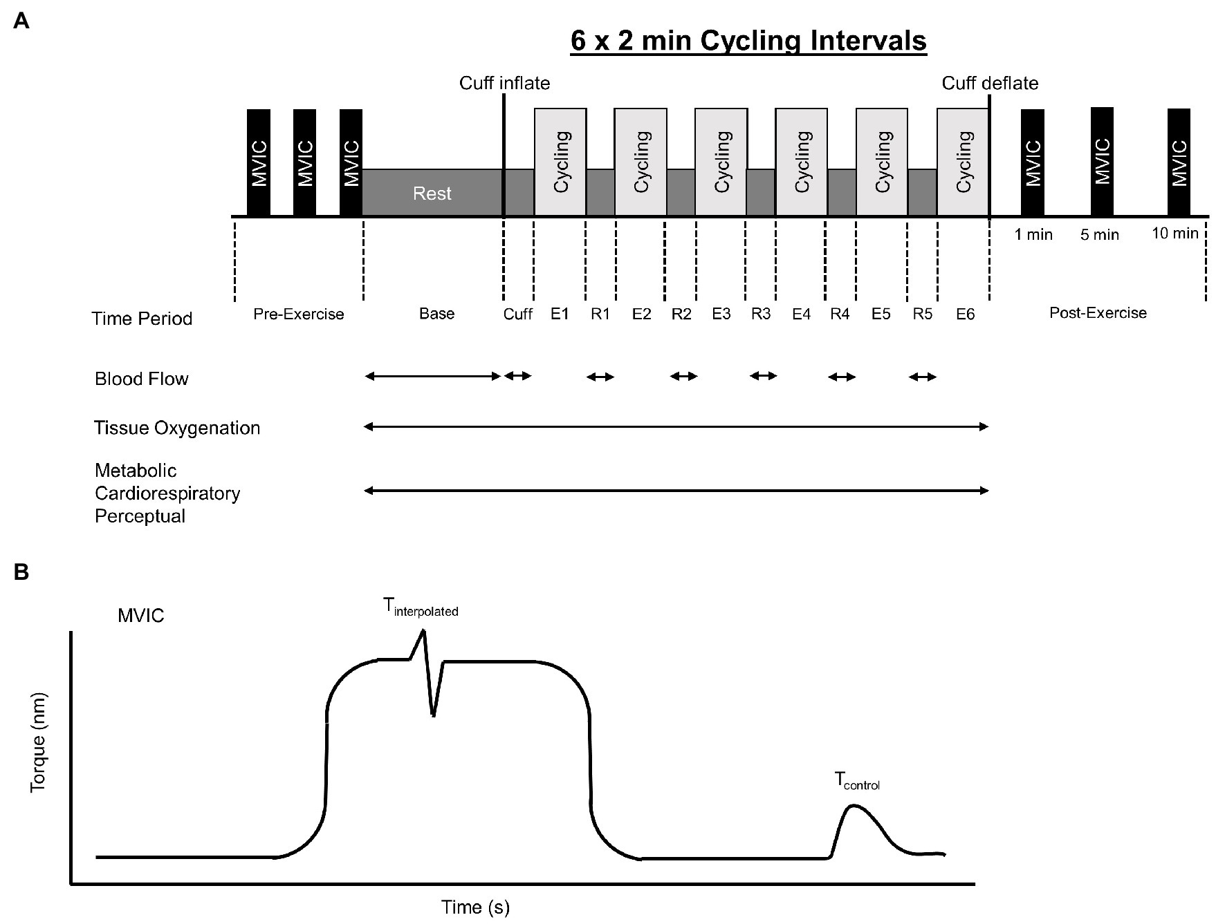 Frontiers Physiological Responses to Acute Cycling With Blood Flow Restriction