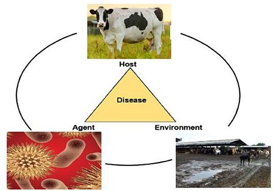 Mastitis - a Matter of Inflammation