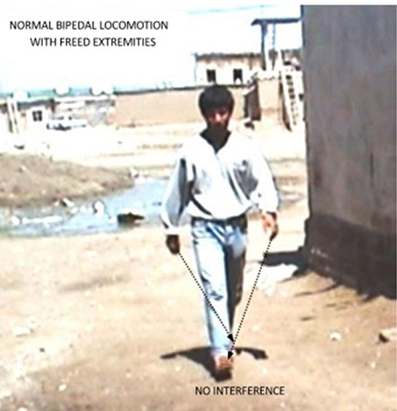 www.frontiersin.org