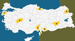www.frontiersin.org