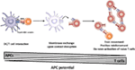 www.frontiersin.org