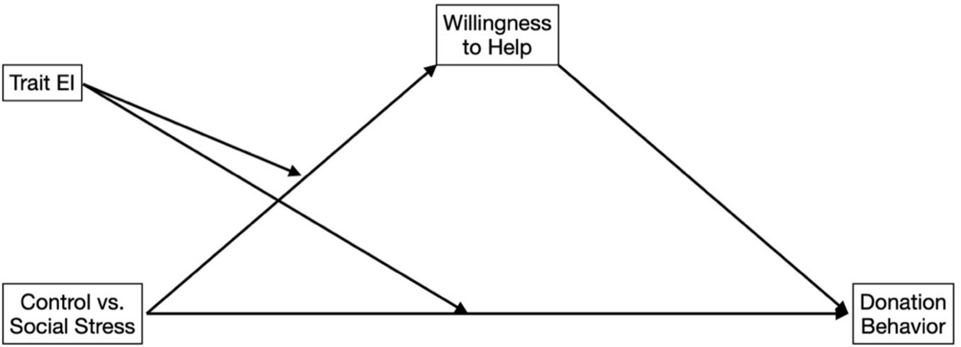 www.frontiersin.org