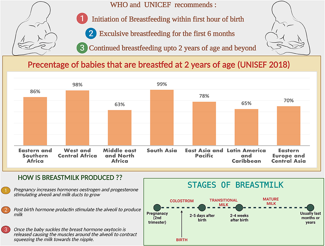 My Breastfeeding Journey  How I Increased My Milk Supply + Pumping Must- Haves - Katie's Bliss