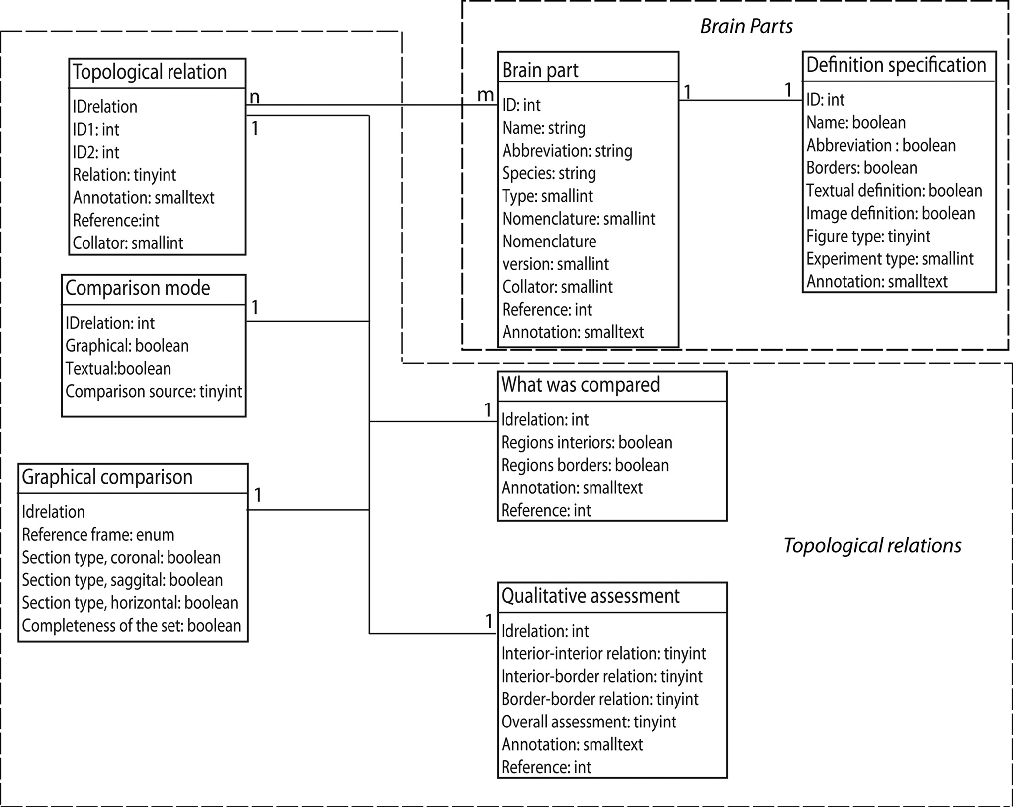 Parts Of The Brain And Their Functions Chart