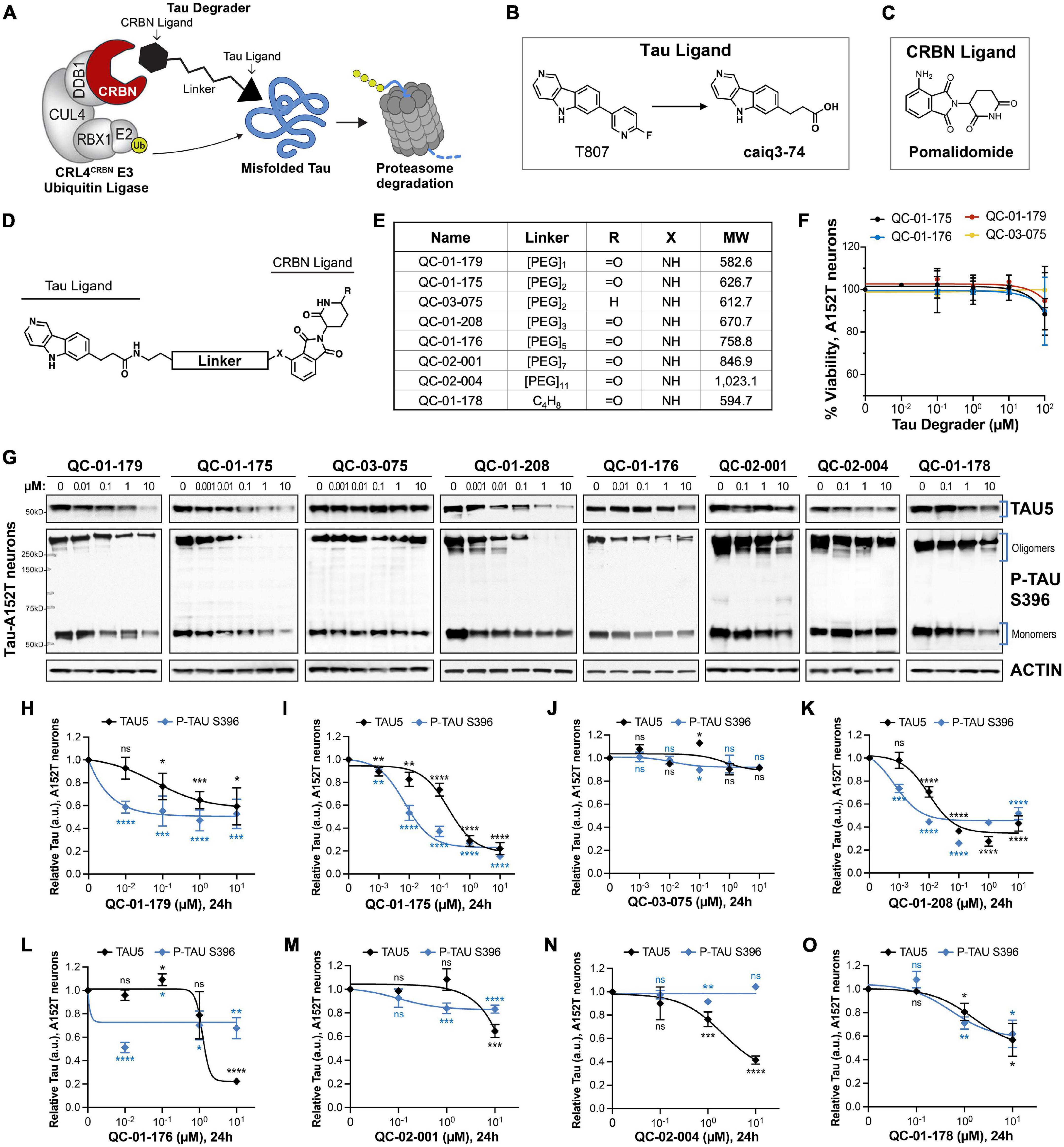 PROTAC® In Vivo Animal Test - Creative Biolabs