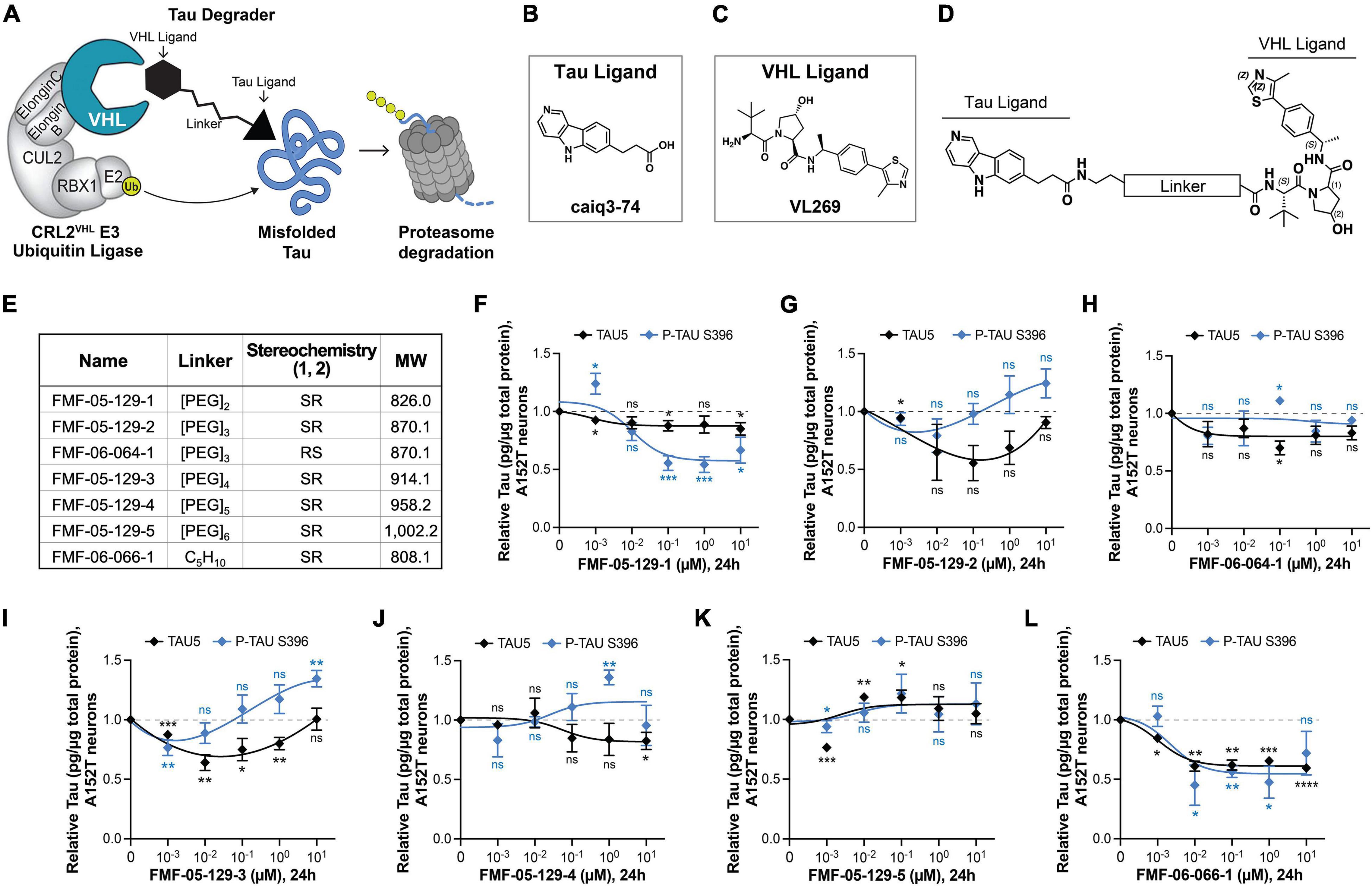 PROTAC® In Vivo Animal Test - Creative Biolabs