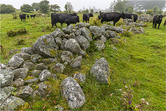 PDF) Historical Archaeologies of Transhumance across Europe