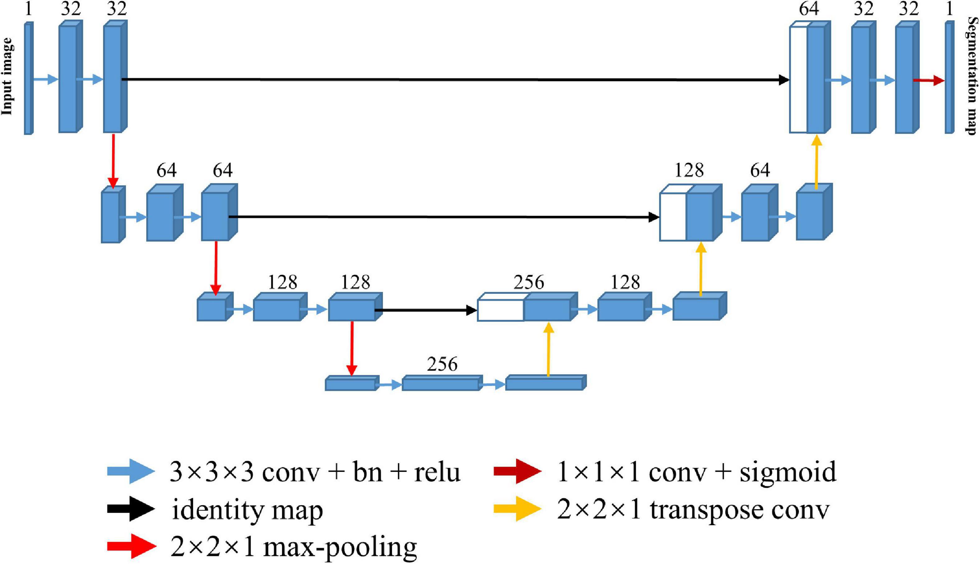 Frontiers  Automated Skull Stripping in Mouse Functional Magnetic  Resonance Imaging Analysis Using 3D U-Net