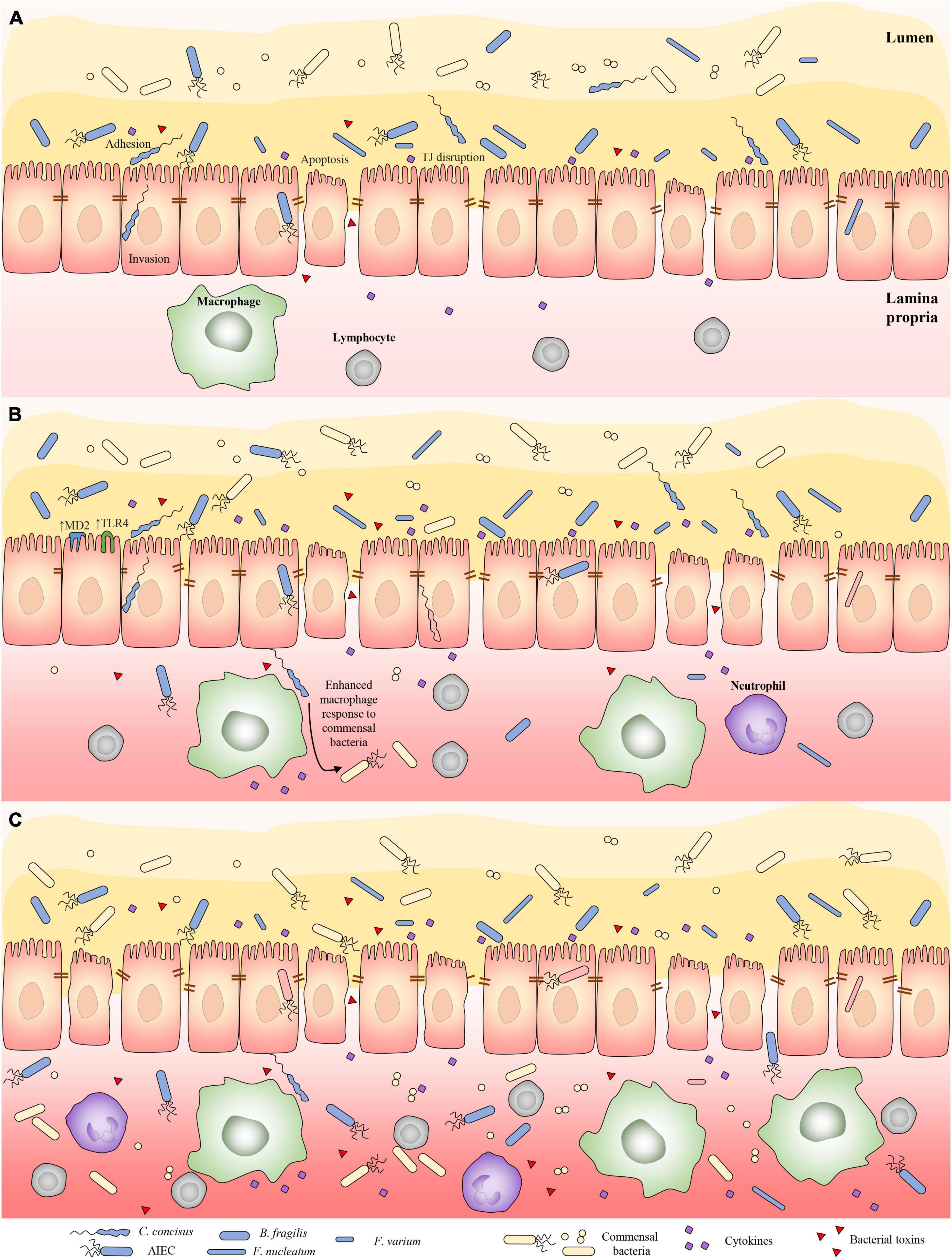 Pathogens, Free Full-Text