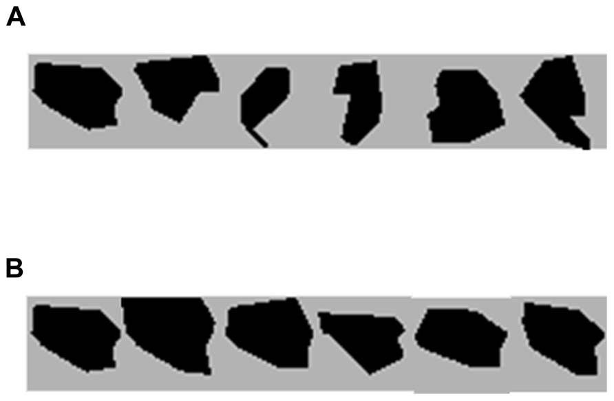 www.frontiersin.org