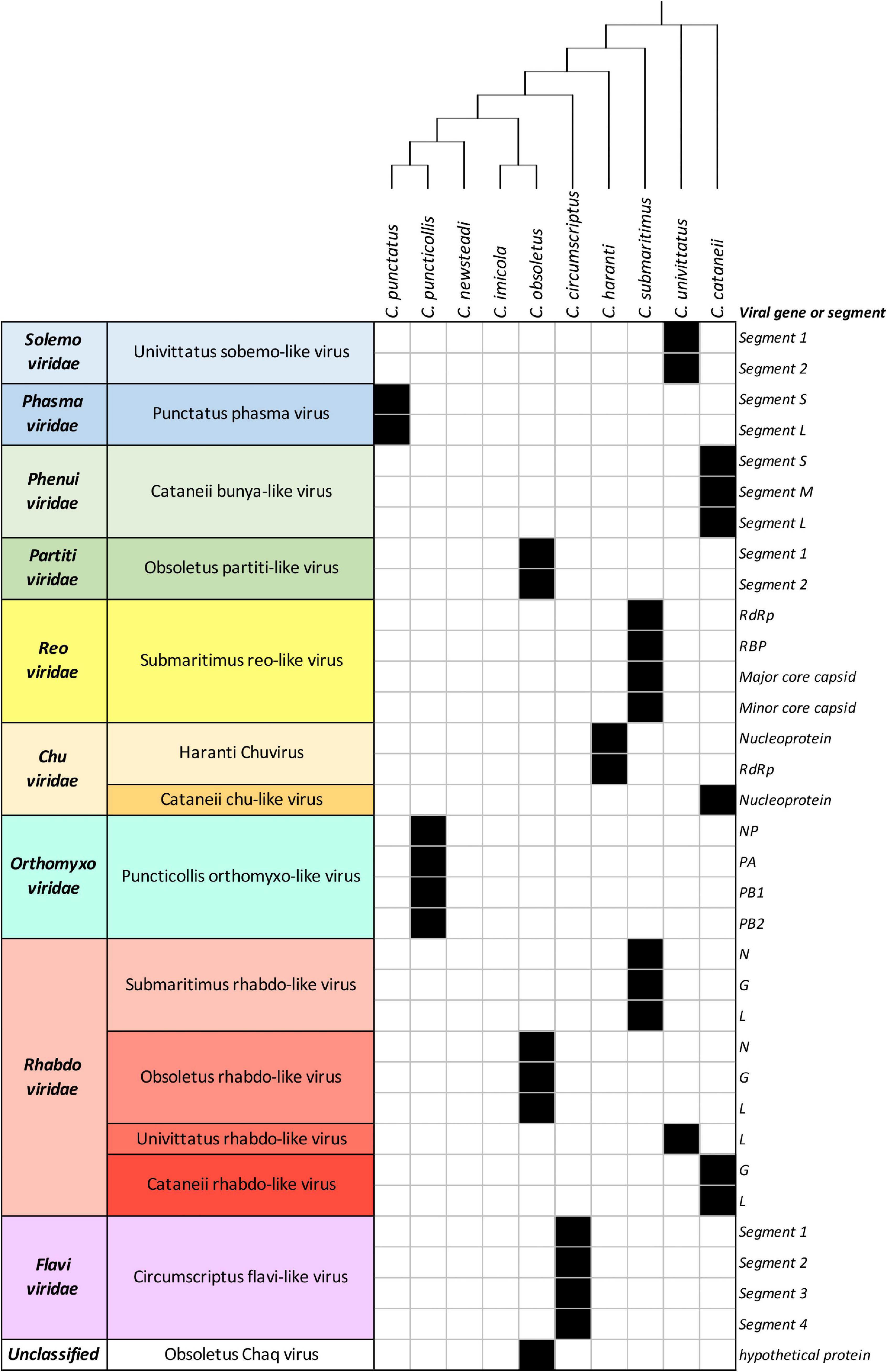 Integrative assessment of the transcriptome and virome of the