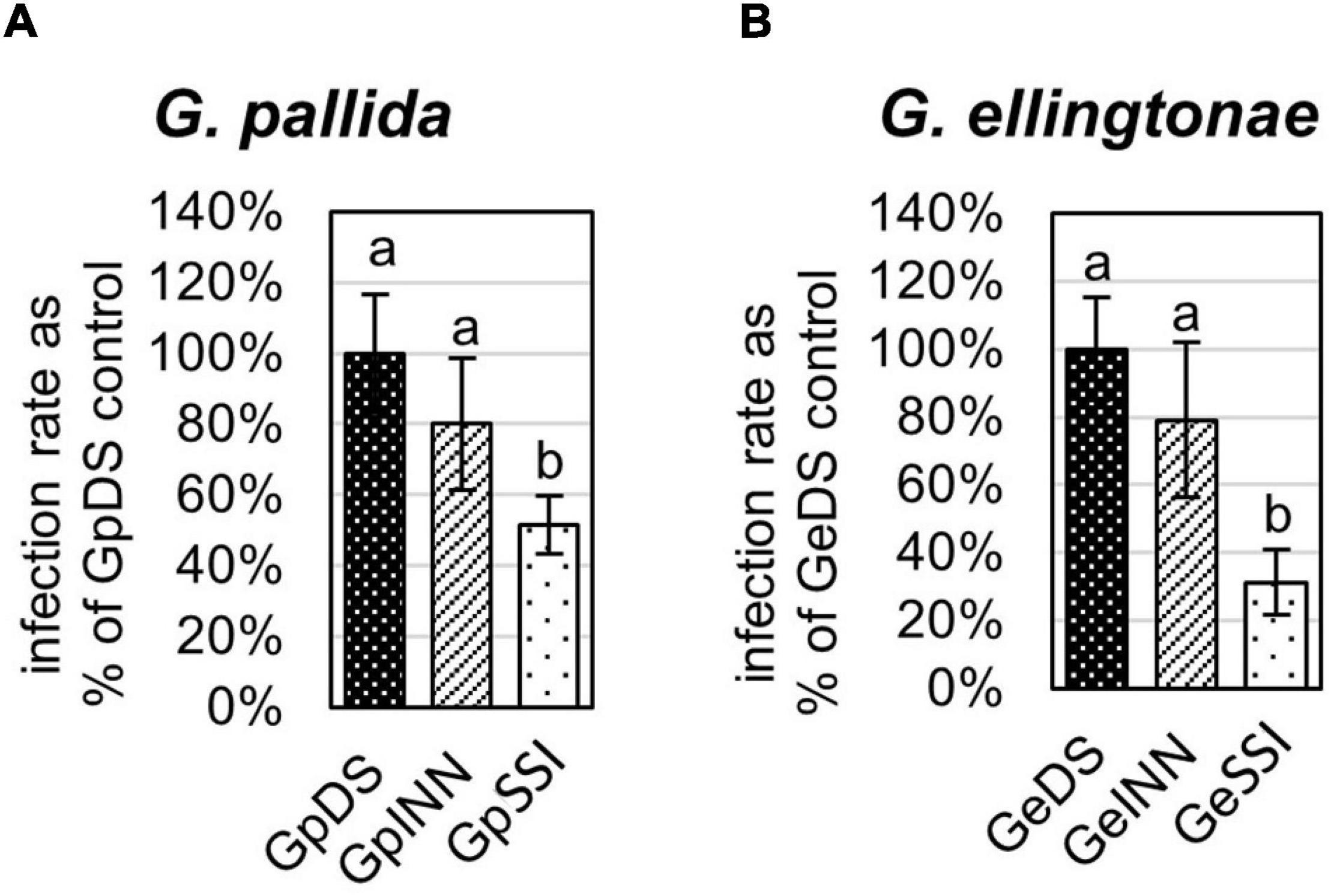 Frontiers  Belowground Chemical Interactions: An Insight Into  Host-Specific Behavior of Globodera spp. Hatched in Root Exudates From  Potato and Its Wild Relative, Solanum sisymbriifolium