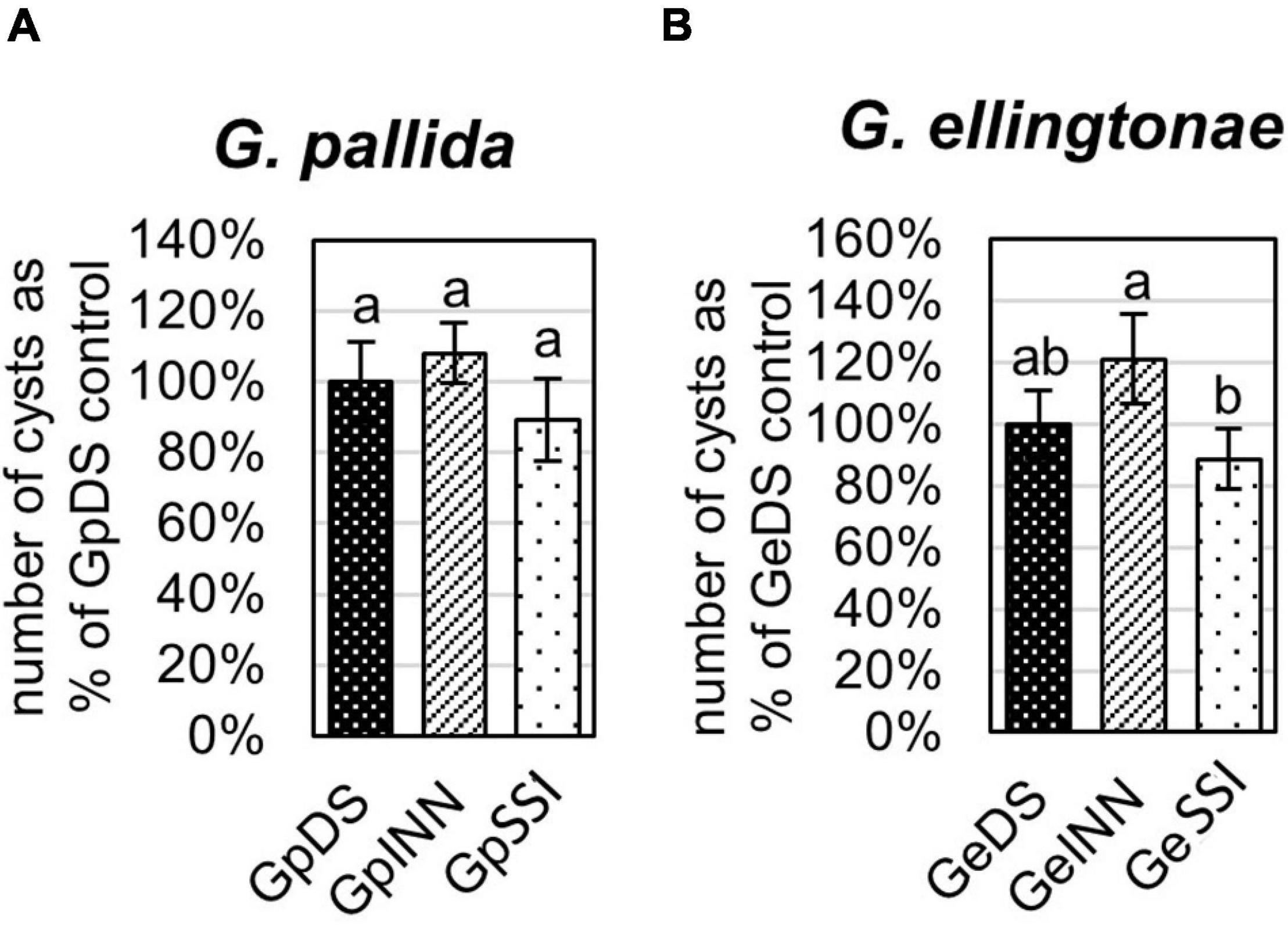 Frontiers  Belowground Chemical Interactions: An Insight Into  Host-Specific Behavior of Globodera spp. Hatched in Root Exudates From  Potato and Its Wild Relative, Solanum sisymbriifolium