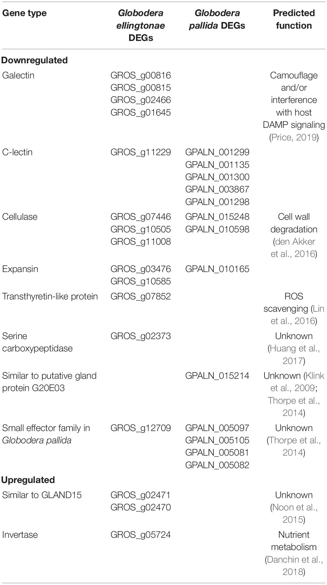 Frontiers  Belowground Chemical Interactions: An Insight Into  Host-Specific Behavior of Globodera spp. Hatched in Root Exudates From  Potato and Its Wild Relative, Solanum sisymbriifolium