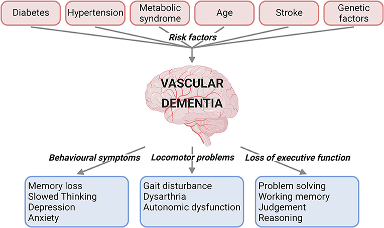 new research on vascular dementia