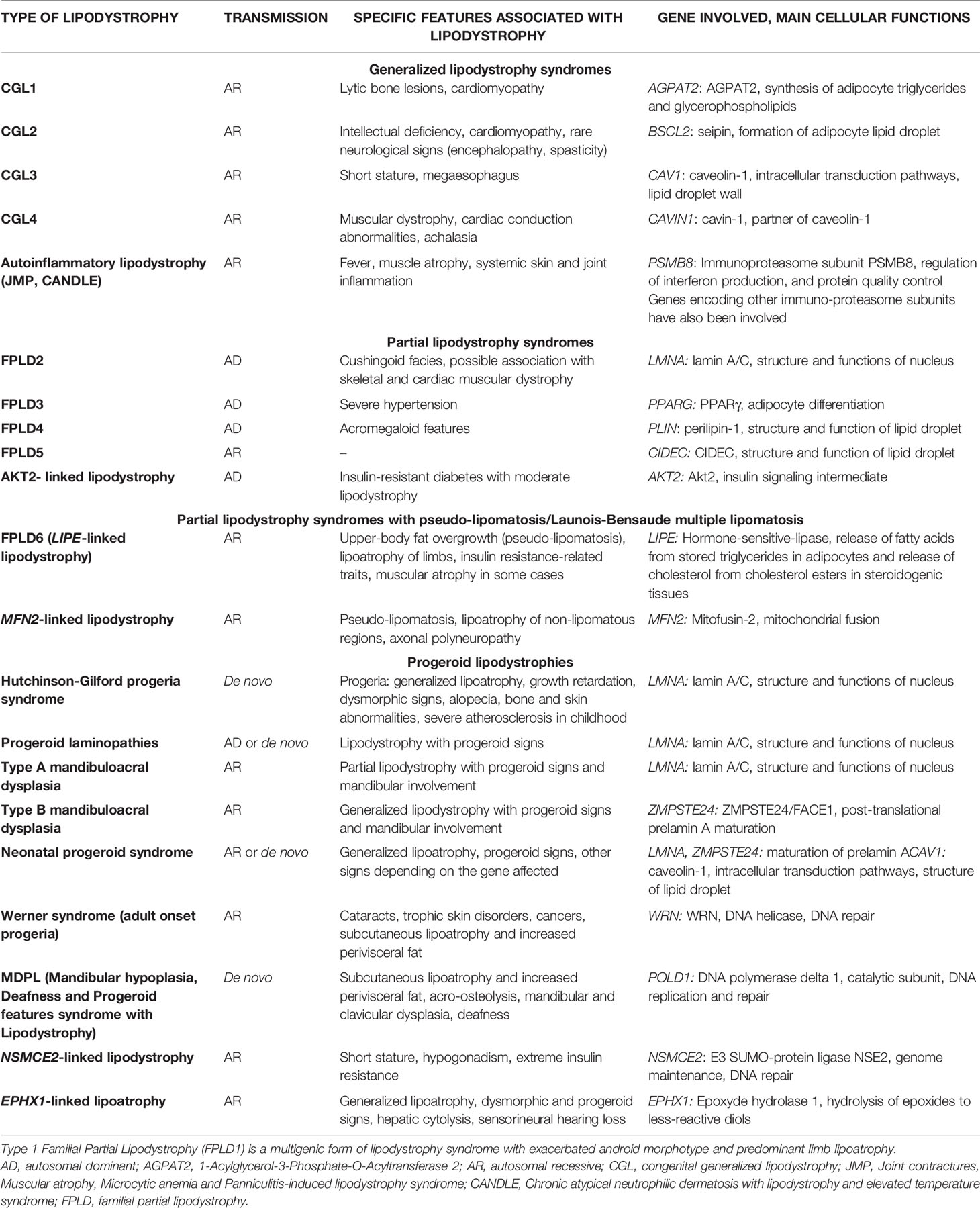 Case 133: Hypomastia and Obesity