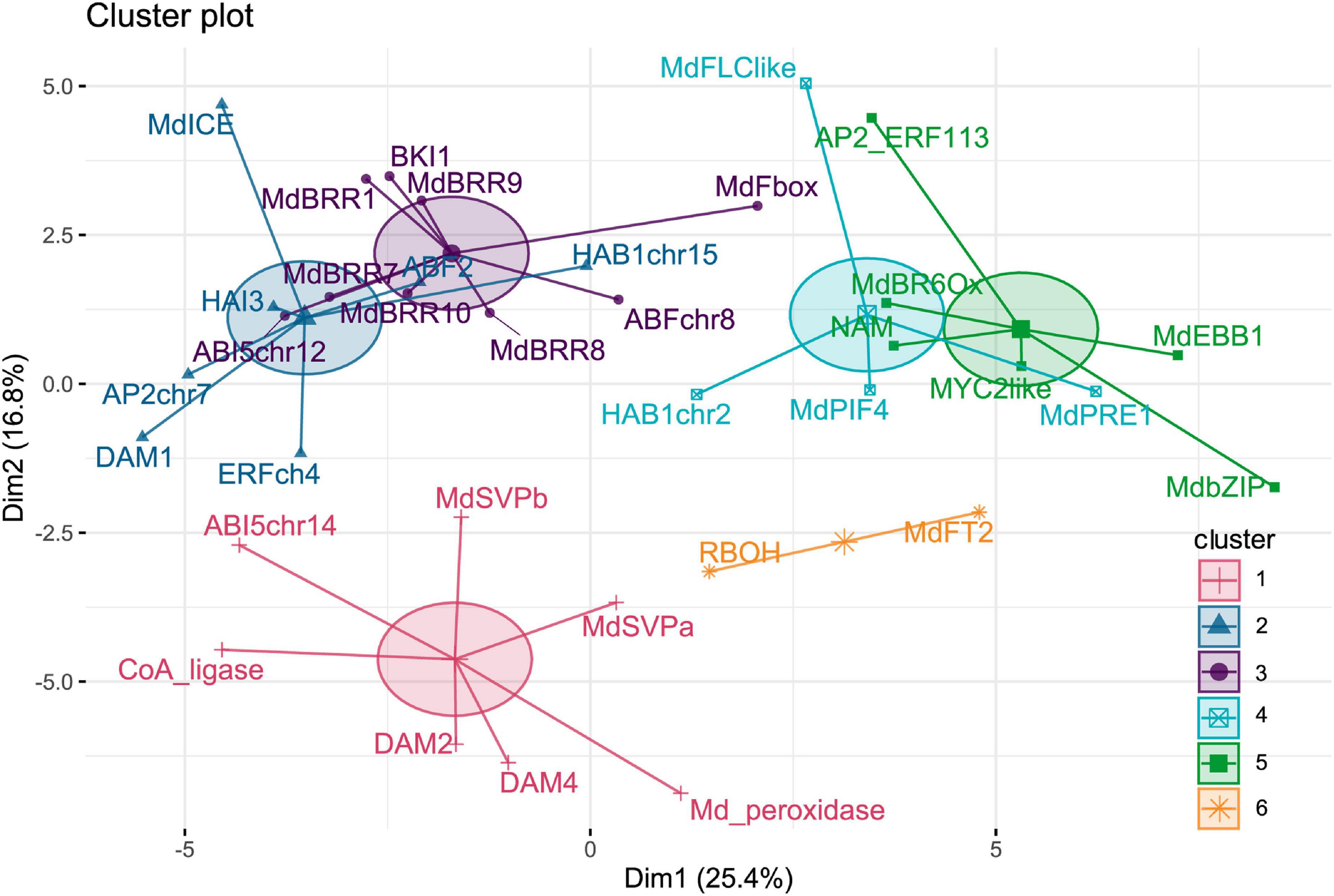 Frontiers  Time-Resolved Analysis of Candidate Gene Expression and Ambient  Temperature During Bud Dormancy in Apple