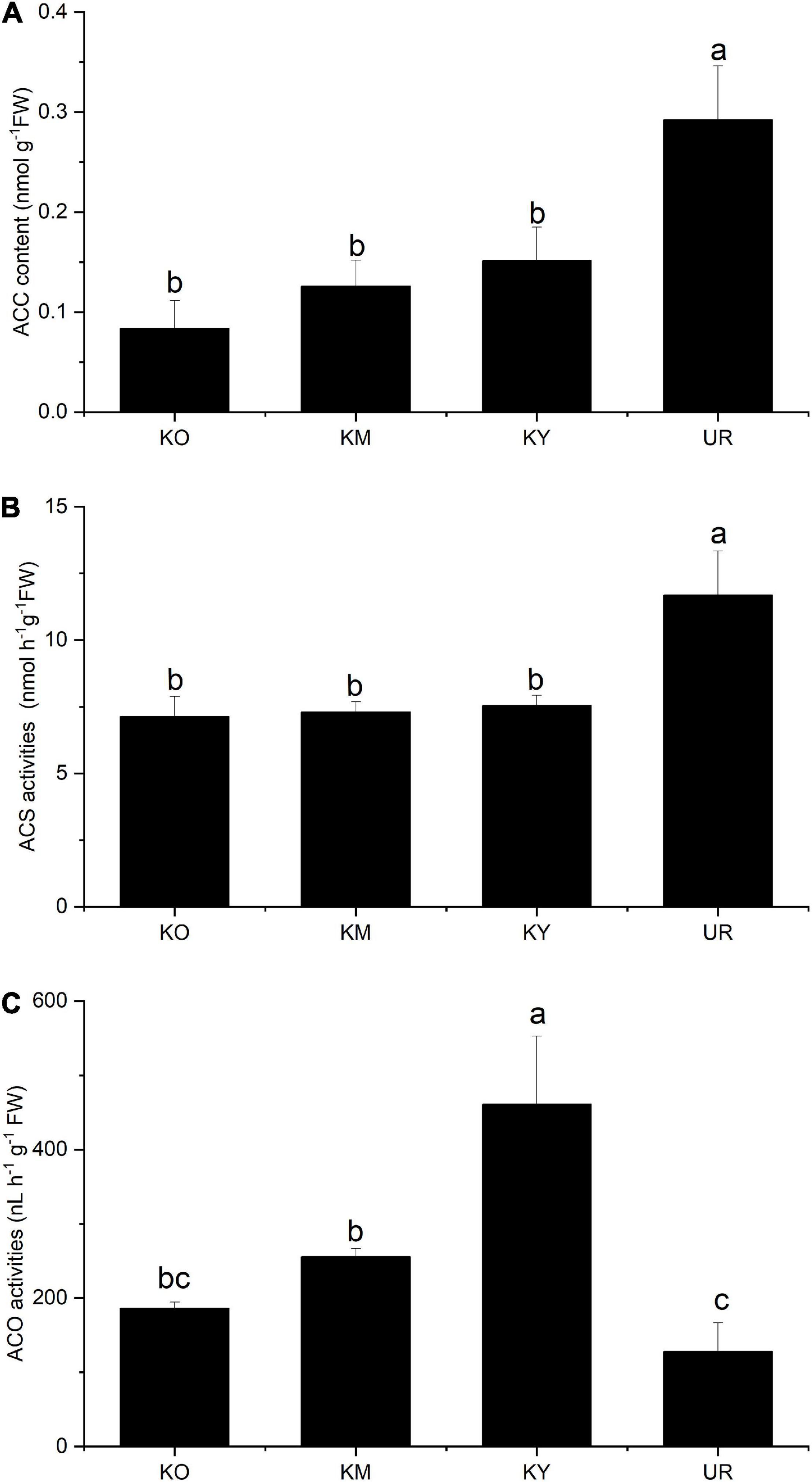 Frontiers  Effects of Flooding and Endogenous Hormone on the Formation of  Knee Roots in Taxodium ascendens