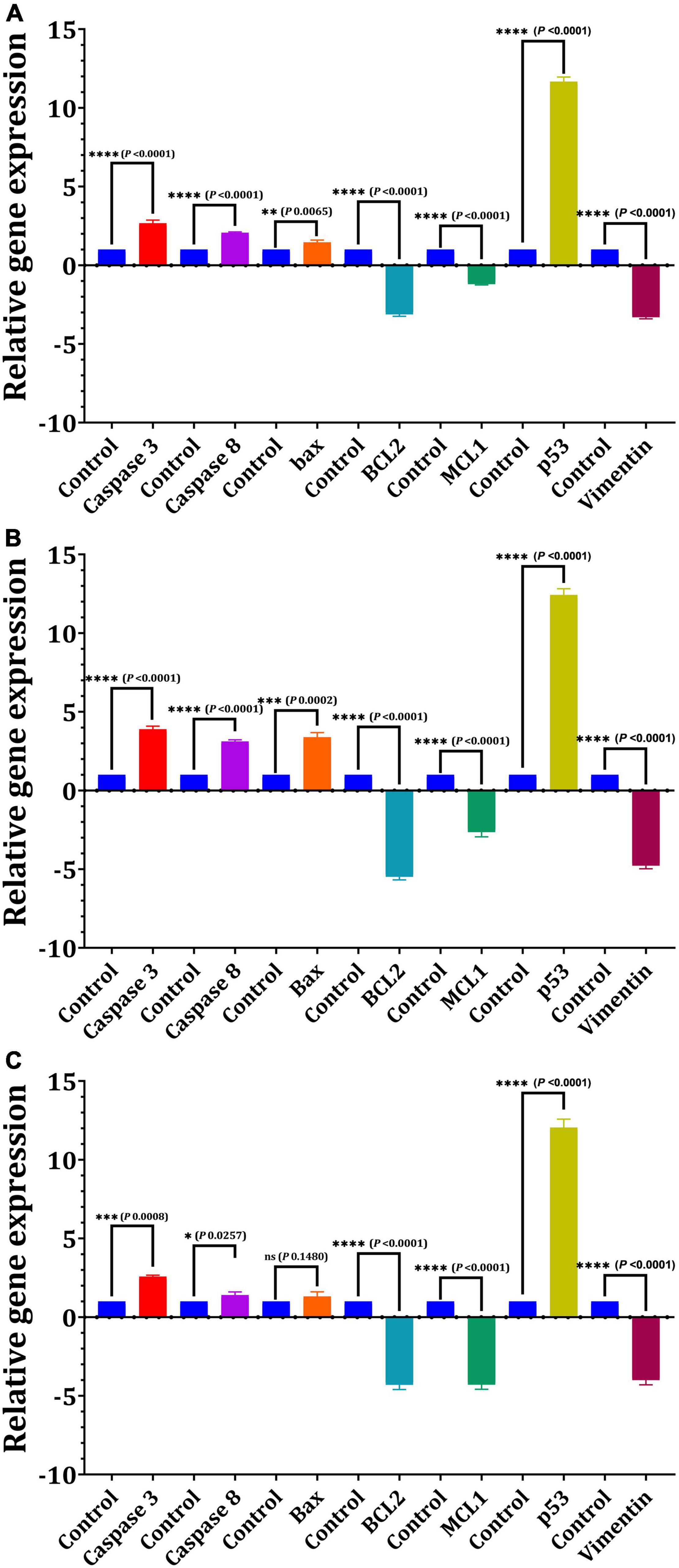 Frontiers Exploring The Therapeutic Potentials Of Exopolysaccharides