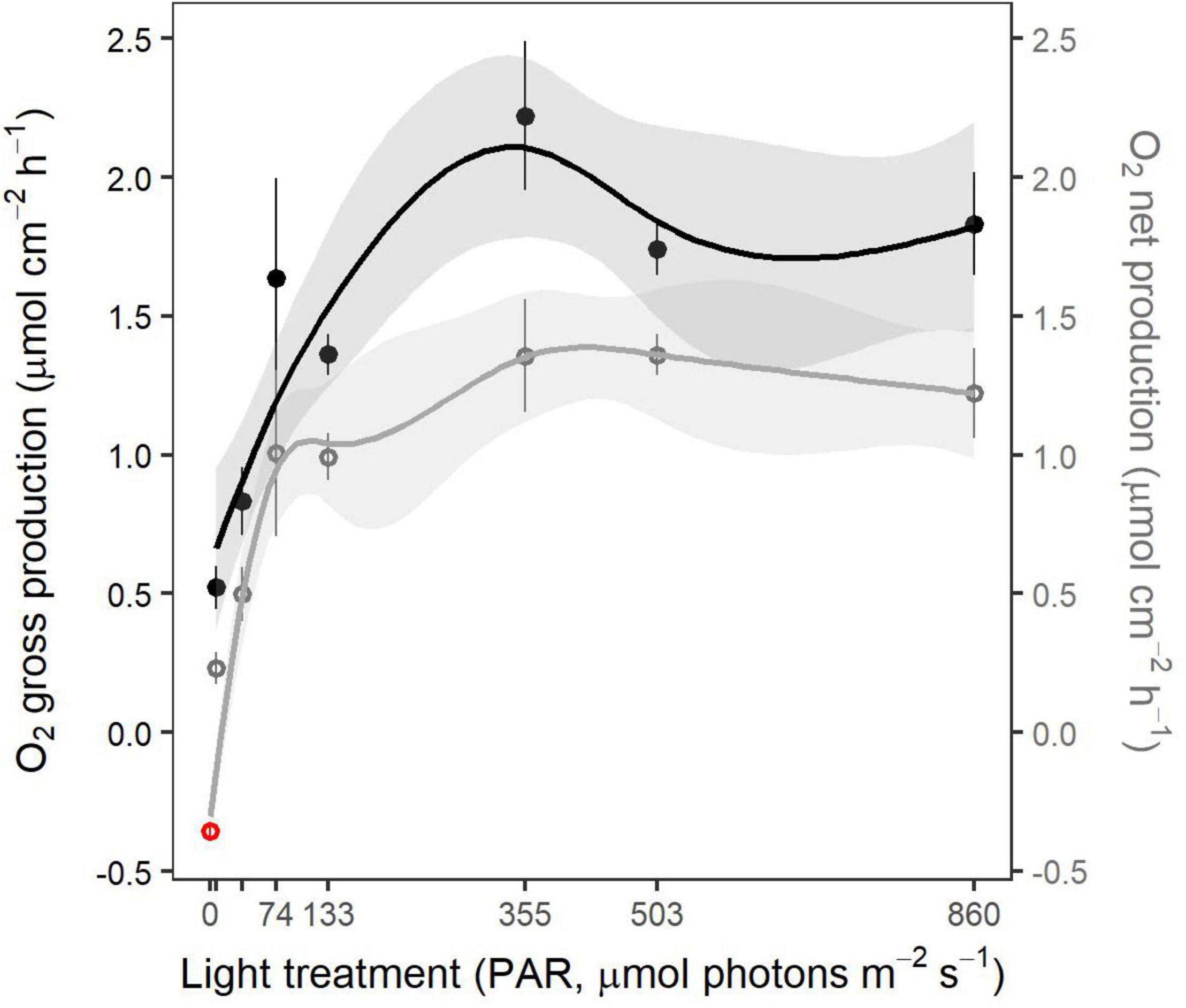 Integrative plant responses: How seagrasses adjust to light - Research  Outreach