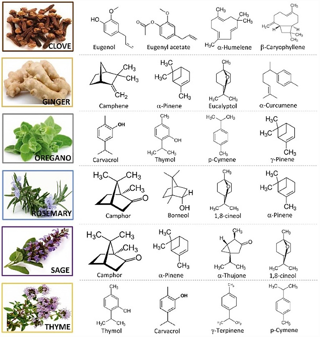Frontiers  Biocontrol Potential of Essential Oils in Organic Horticulture  Systems: From Farm to Fork