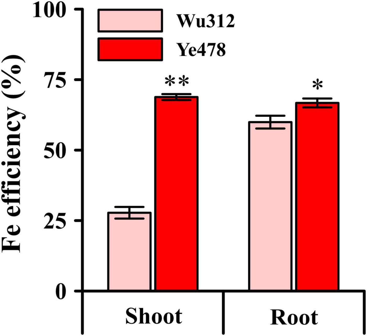 Frontiers | Identification of Quantitative Trait Loci Associated 