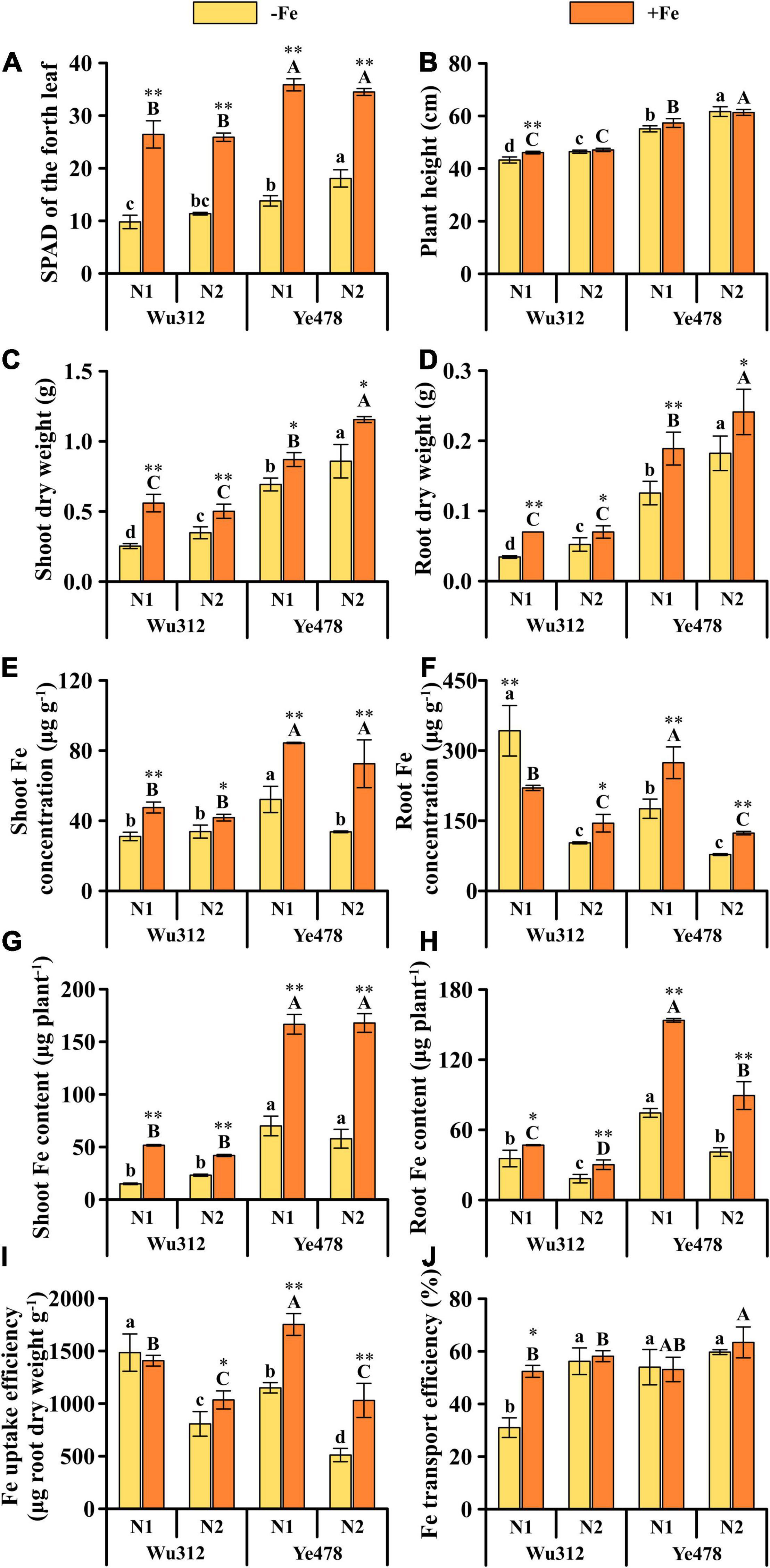 Frontiers | Identification of Quantitative Trait Loci Associated 