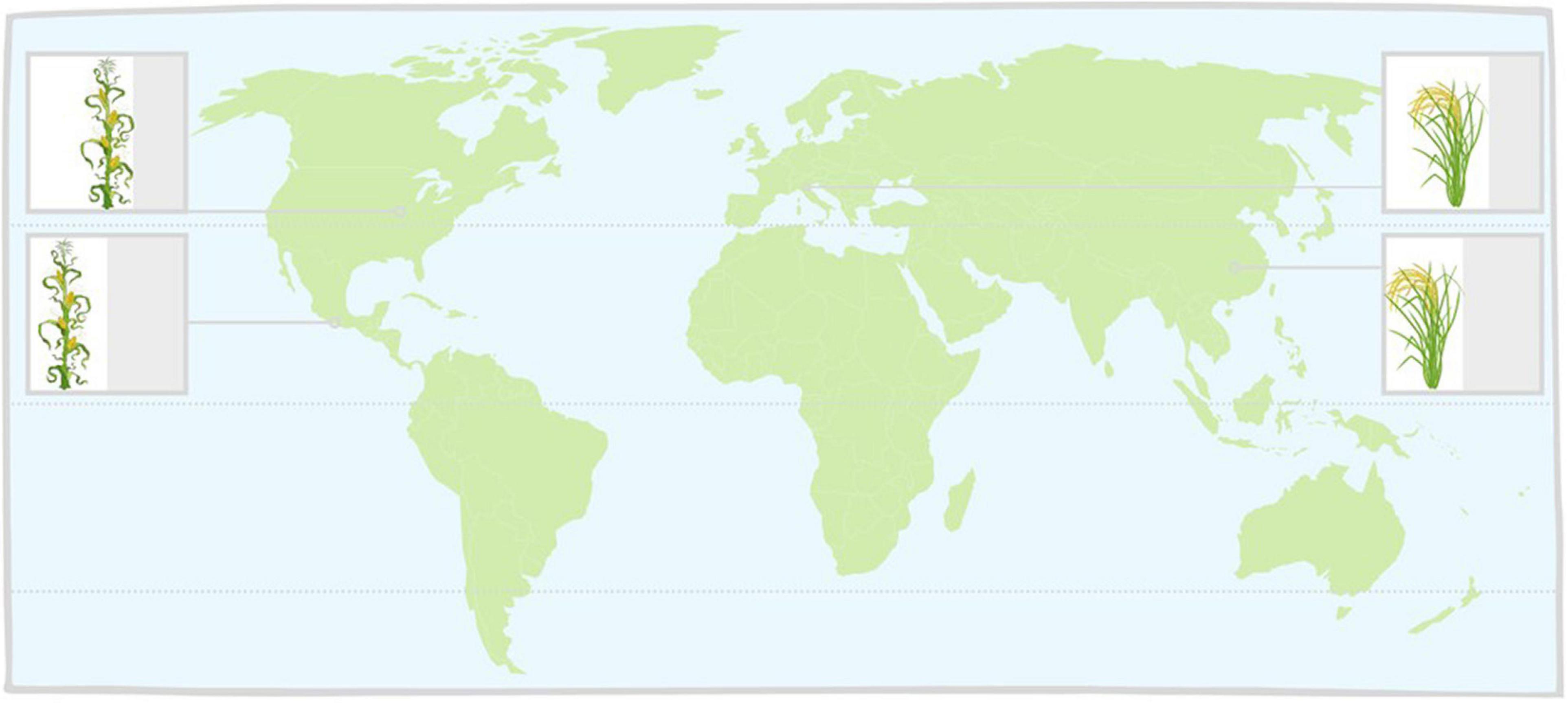 www.frontiersin.org