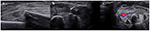 www.frontiersin.org