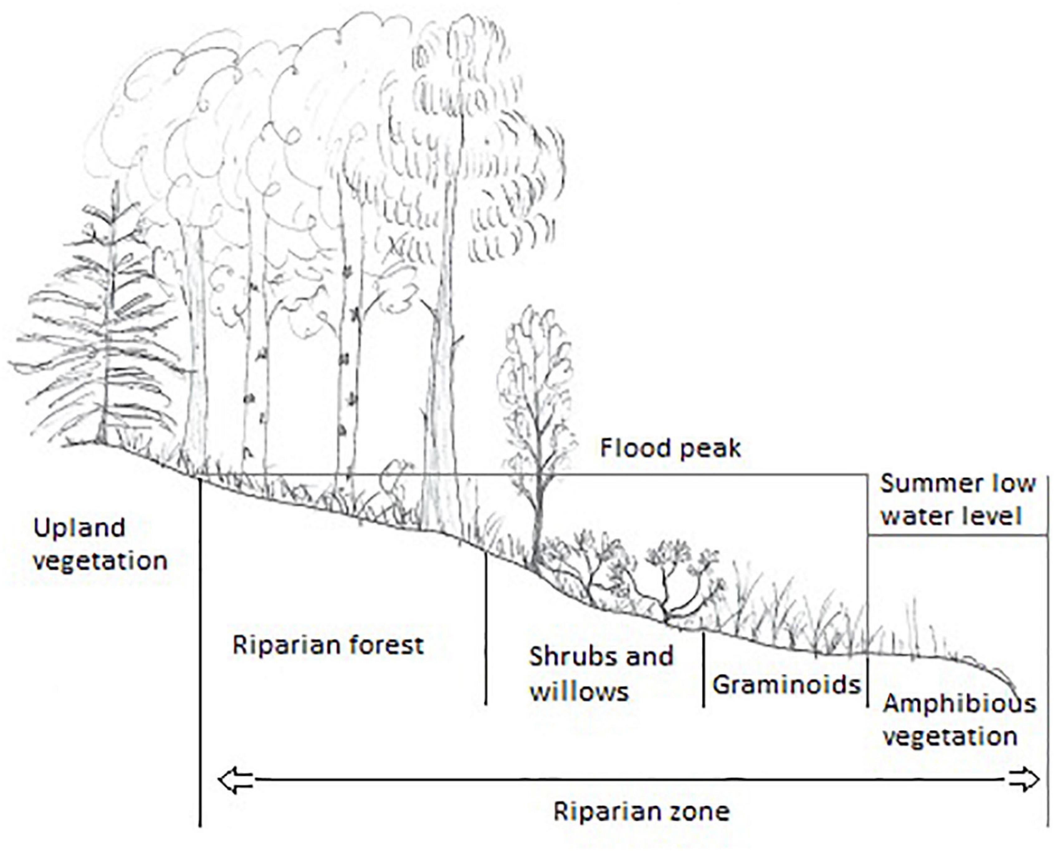 Lv Pont 9 Review  Natural Resource Department