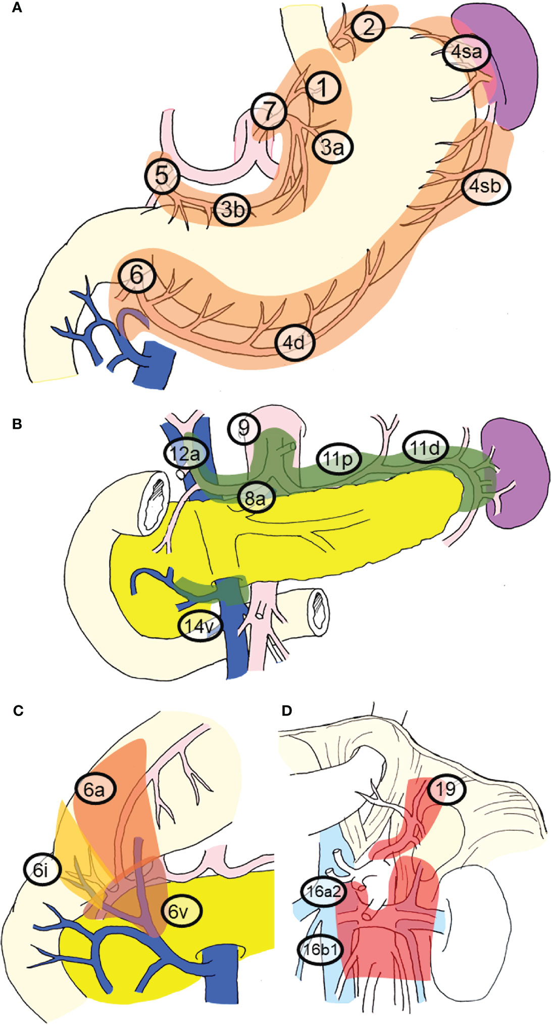 Frontiers | Significance of Lymph Node Metastasis in the Treatment of ...