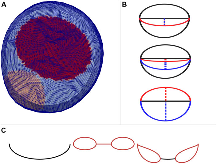 Frontiers  Computational Analysis of Flow Structures in Turbulent