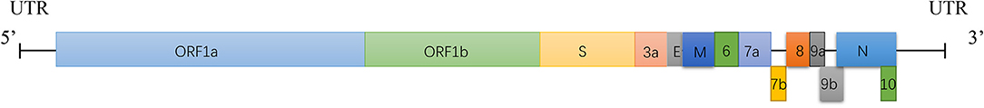 www.frontiersin.org