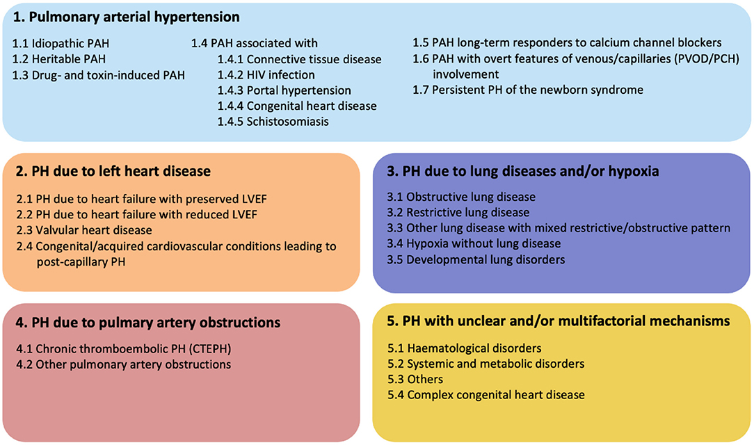 Frontiers Vascular Remodeling In Pulmonary Arterial Hypertension The