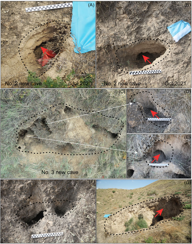 Chinese Walls in Time and Space: A Multidisciplinary Perspective