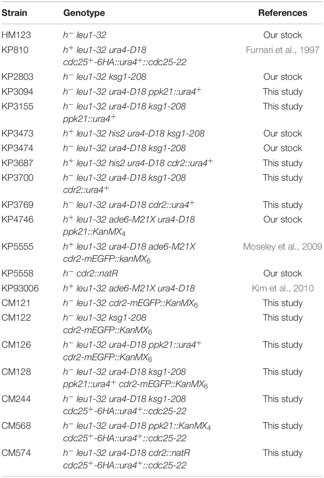 Cheats for GTA 5 :) by Di Zhang