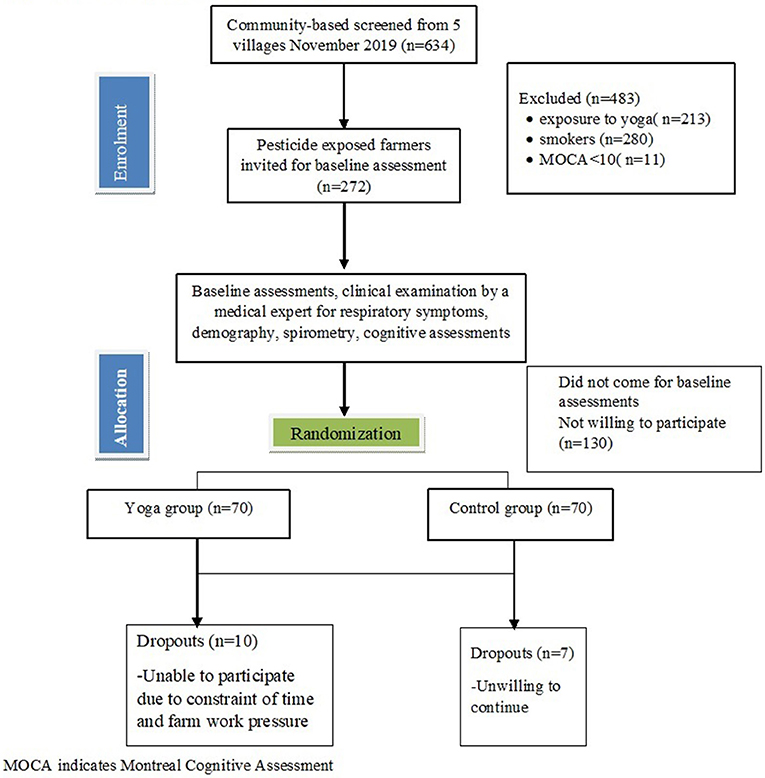 Frontiers  Breathing-Focused Yoga Intervention on Respiratory Decline in  Chronically Pesticide-Exposed Farmers: A Randomized Controlled Trial