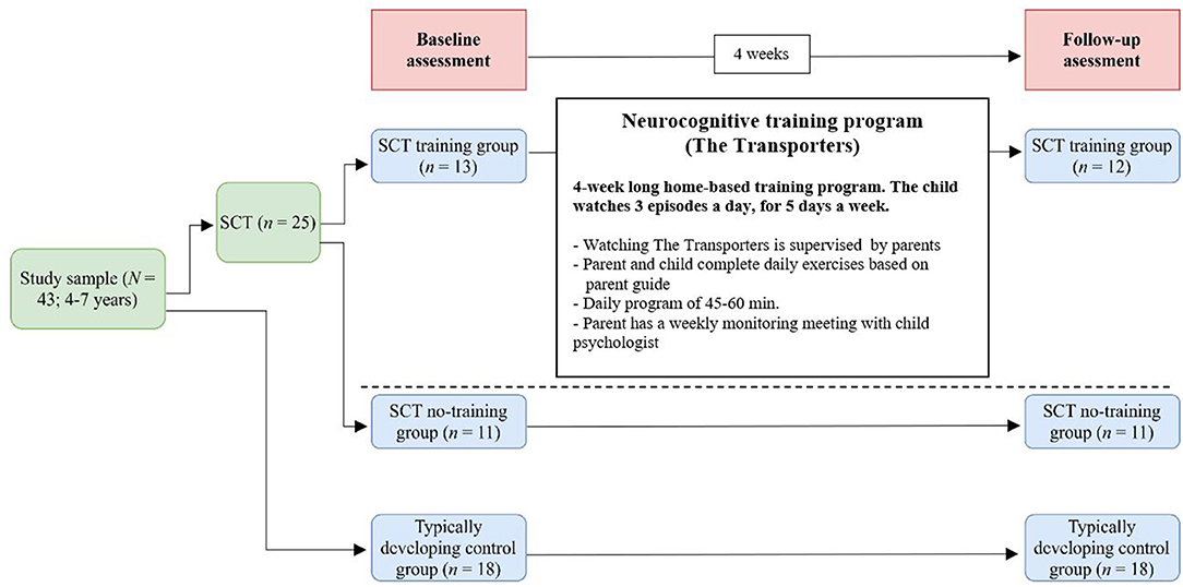 1084px x 538px - Frontiers | Early Preventive Intervention for Young Children With Sex  Chromosome Trisomies (XXX, XXY, XYY): Supporting Social Cognitive  Development Using a Neurocognitive Training Program Targeting Facial  Emotion Understanding