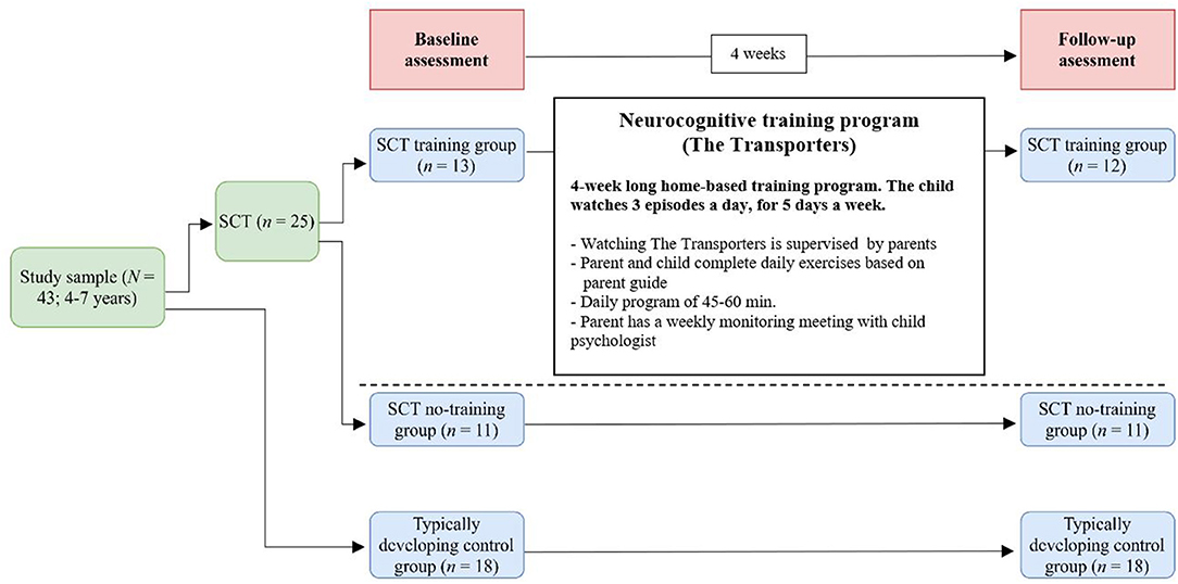 Boy Girl Xxx Sex Video - Frontiers | Early Preventive Intervention for Young Children With Sex  Chromosome Trisomies (XXX, XXY, XYY): Supporting Social Cognitive  Development Using a Neurocognitive Training Program Targeting Facial  Emotion Understanding