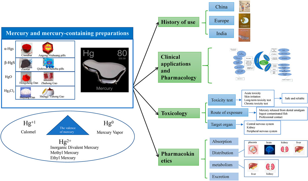 Clinical Toxicology: Vol 60, No 3