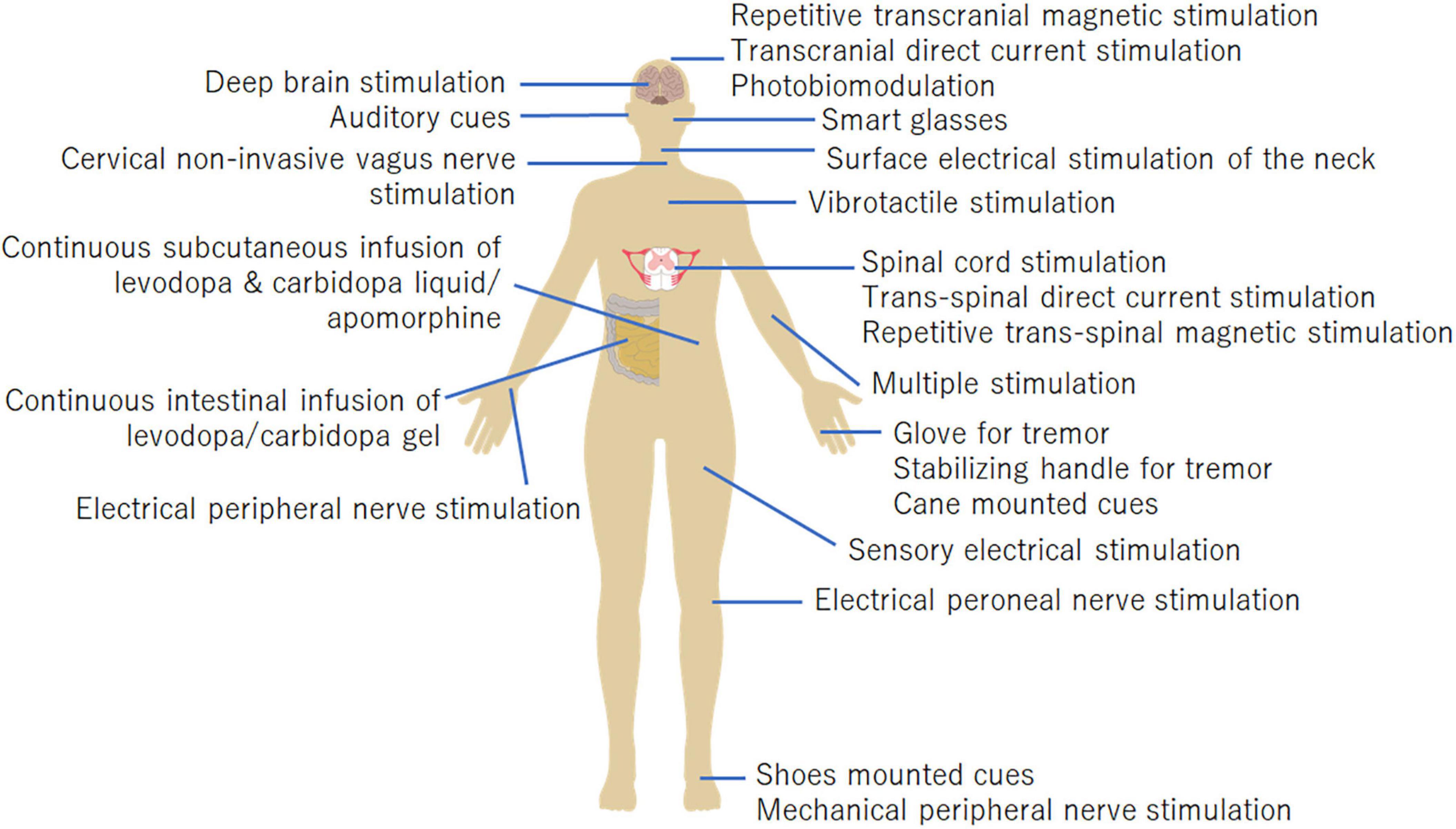 Frontiers  Safety and efficacy of electrical stimulation for