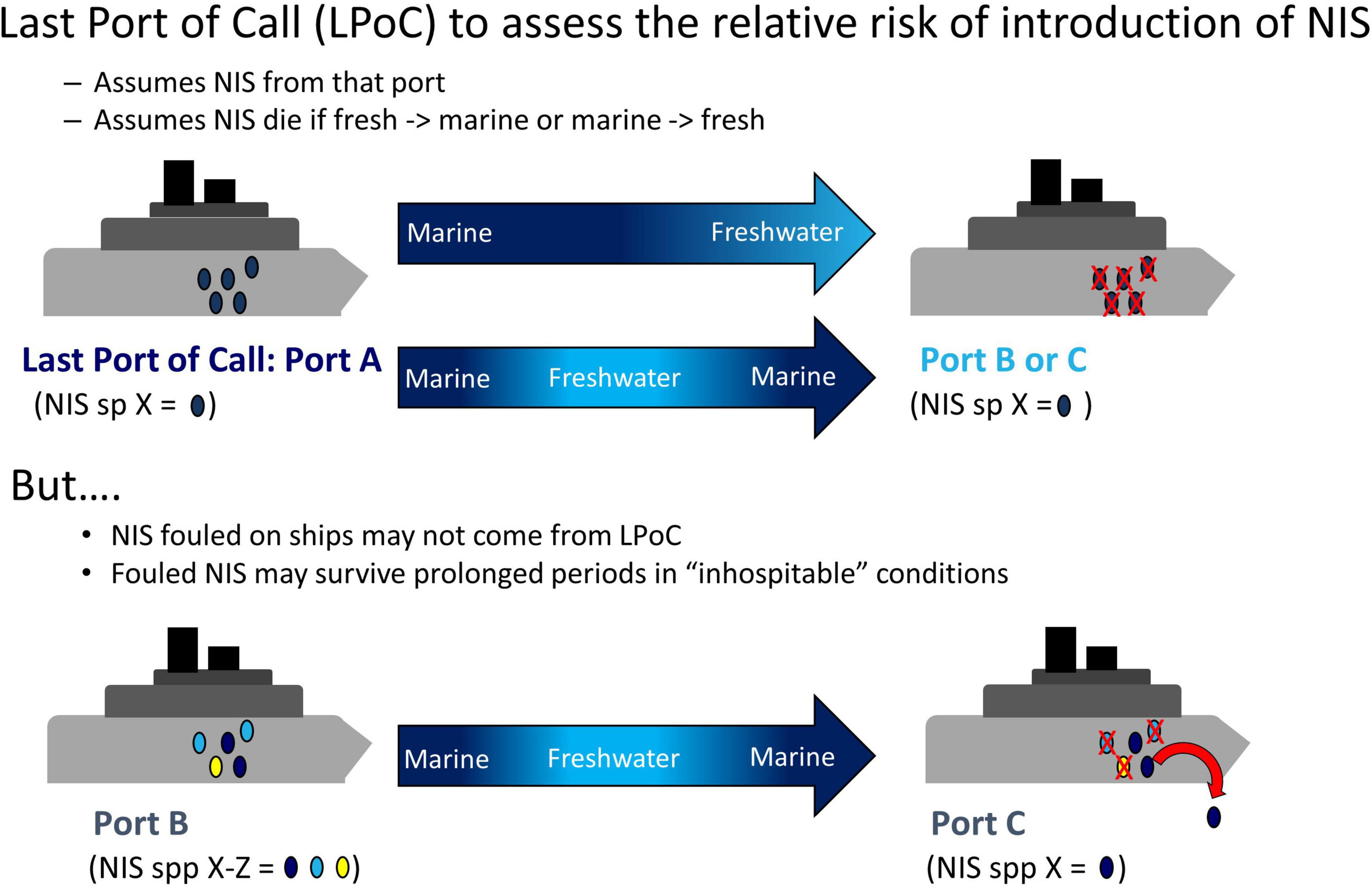 Frontiers  Experimental Analysis of Survival and Recovery of Ship Fouling  Mussels During Transit Between Marine and Freshwaters