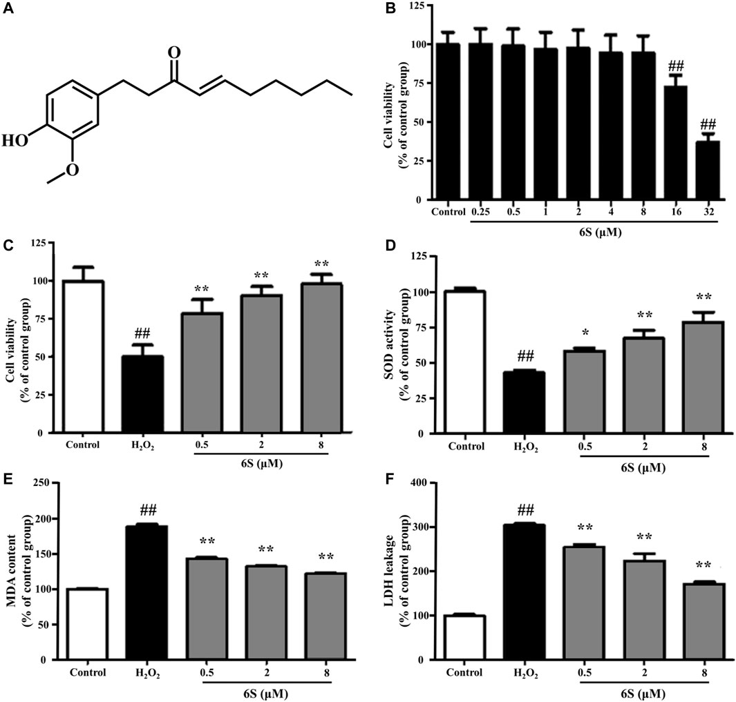 Frontiers | 6-Shogaol Inhibits Oxidative Stress-Induced Rat 