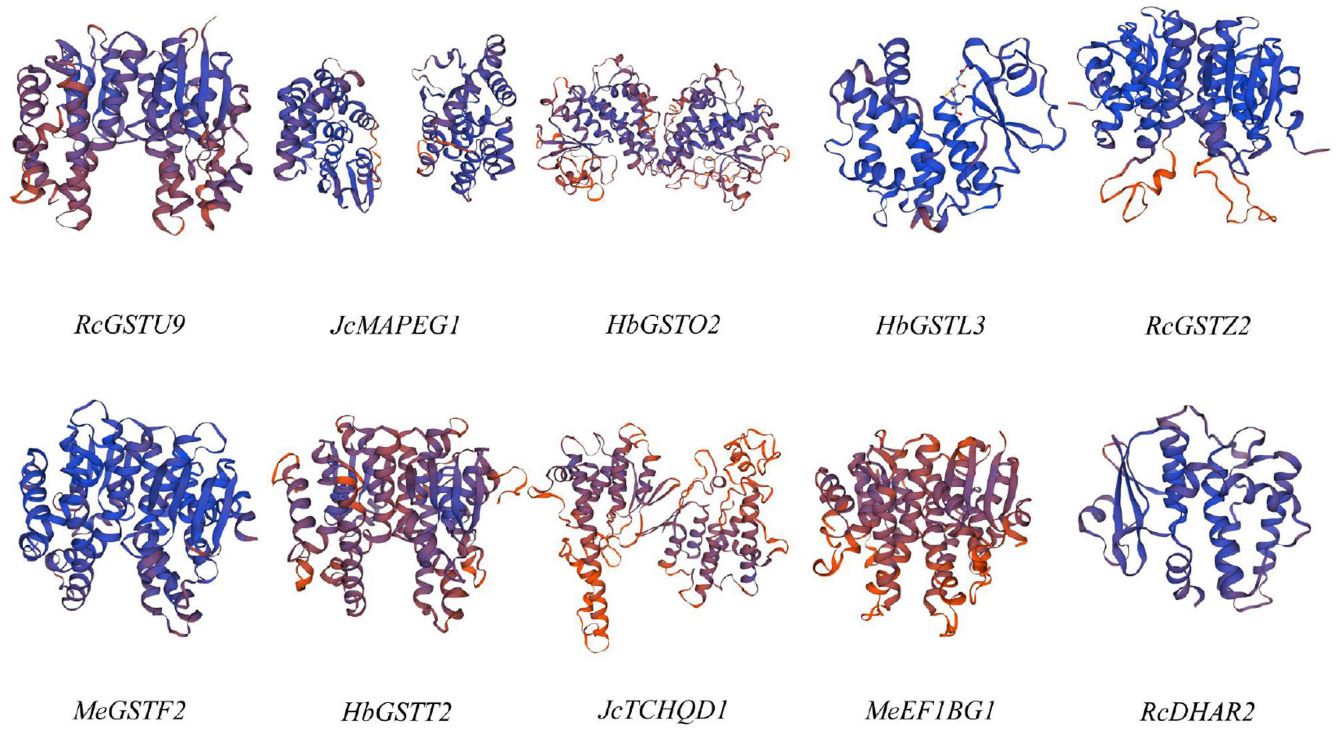 Frontiers | Genome-Wide Identification, Evolution and Expression ...