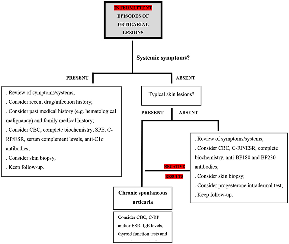 papular rash differential