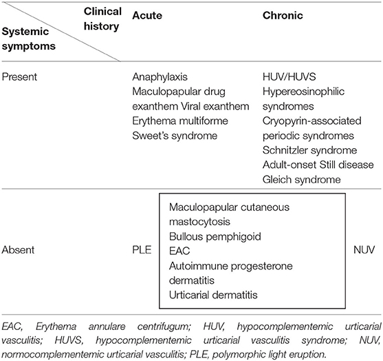 papular rash differential